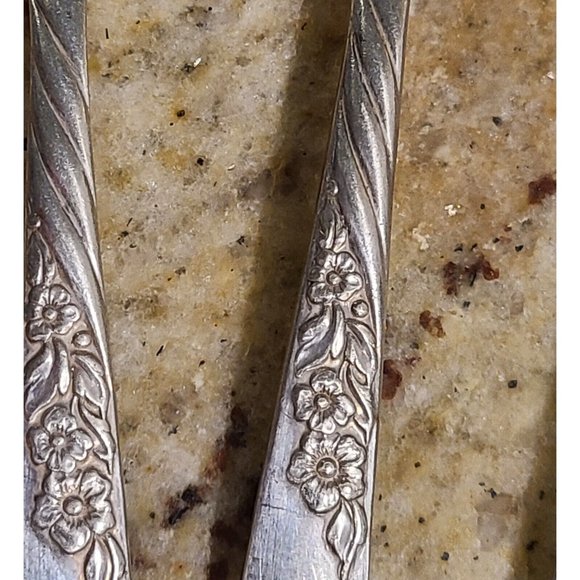 Vintage Wm. Rogers Oneida Spoons Always Wildwood Set of 6 Silver Overlay - Picture 4 of 10